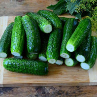 Cucumbers photo 3