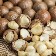 Photo of macadamia nut 7