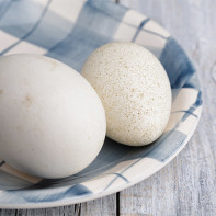 Photo of goose eggs 4