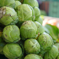 Brussels sprouts photo 5