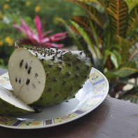 Photo of guanabana fruit 3