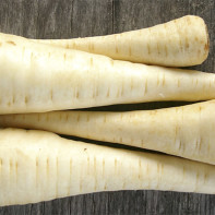 Photo of parsnip root 2