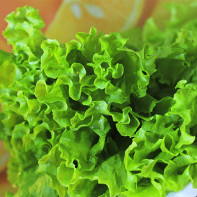 Photo of leaf lettuce 5