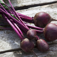 Photo of beets 2