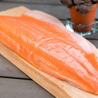 Photo of salmon 5