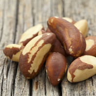 Photo of a Brazil nut 4