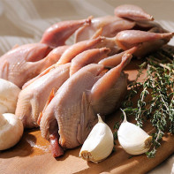 Photo of quail meat 2