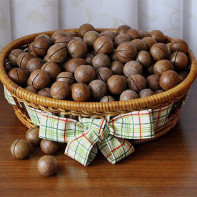 Photo of macadamia nut 3