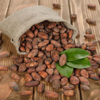 Photo of cocoa beans 3