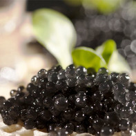 Photos of black caviar