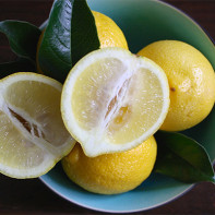 Photo of lemons 4