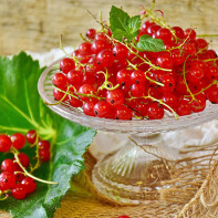 Photo of red currants 2