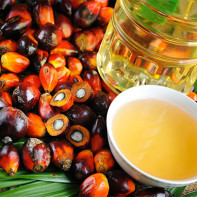 Photos of palm oil