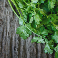 Photo of parsley 3