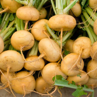 Turnip-trops photo 2