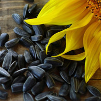 Photo of sunflower seeds 5