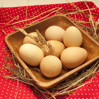Photo of guinea fowl eggs 5