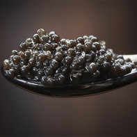 Photo of black caviar 2