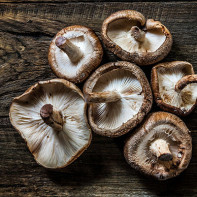 Photo of shiitake mushrooms 5