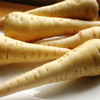 Photo of parsnip root 3
