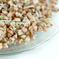 Photo of sprouted buckwheat 4