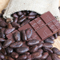 Photo of cocoa beans 5