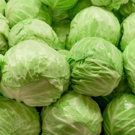 White cabbage photos