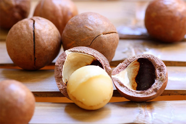 How to use the macadamia shell