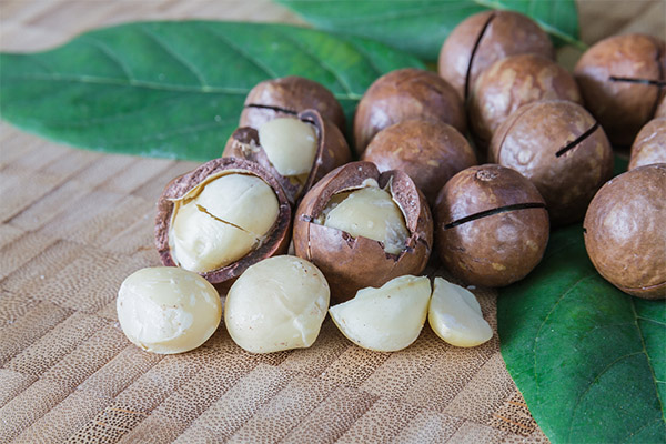 The benefits and harms of macadamia nut