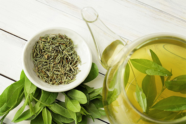 緑茶の効用と弊害