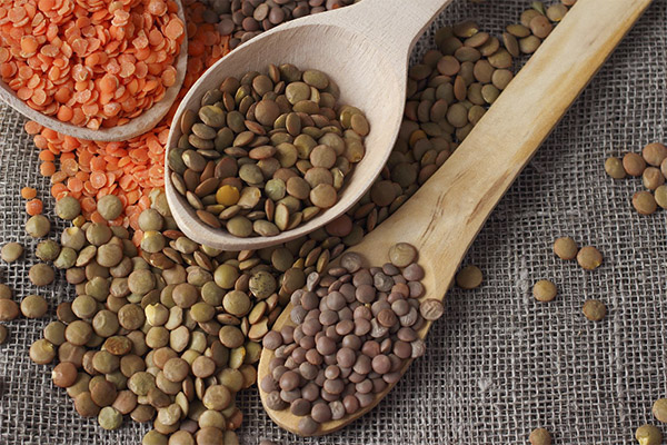 Interesting Facts about Lentils