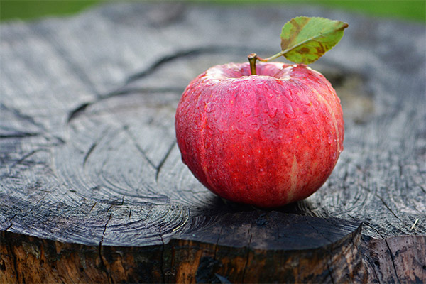 Interesting Facts about Apples