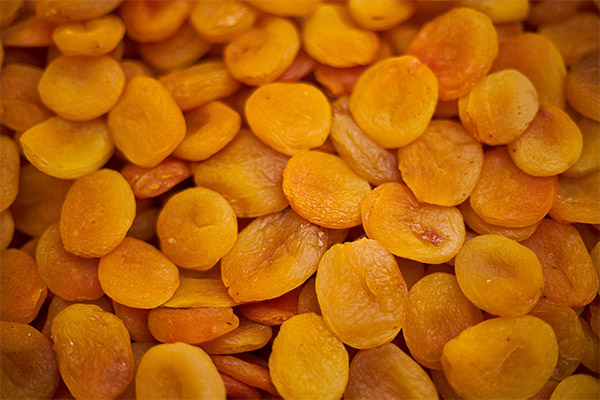 Interesting facts about dried apricots