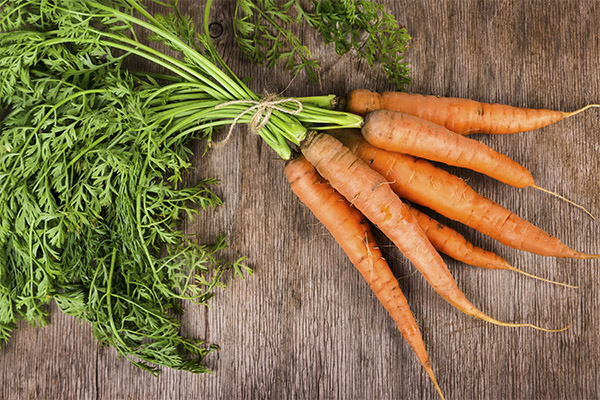 Interesting Facts about Carrots