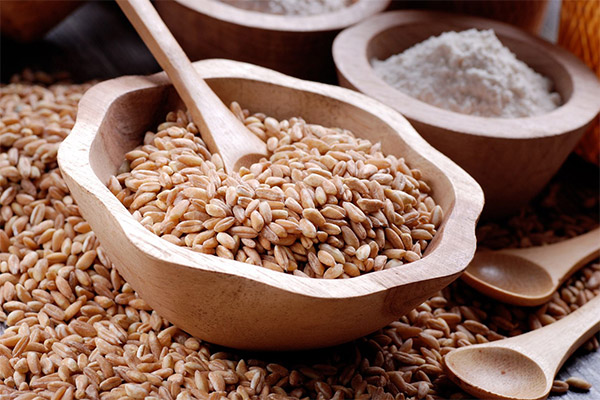 Interesting facts about spelt