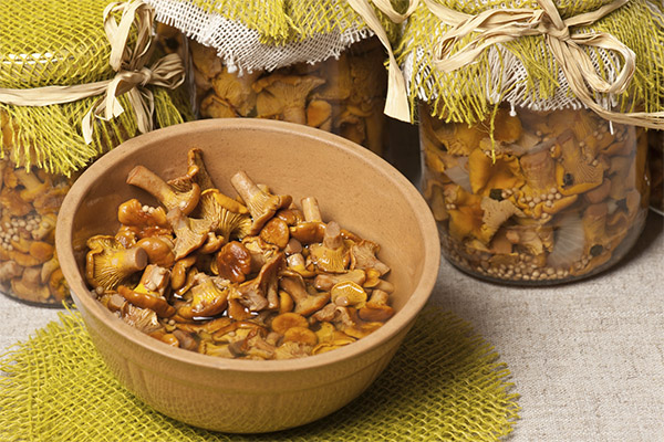 How to marinate chanterelles over winter