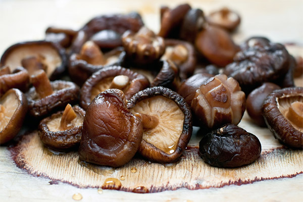 How to cook shiitake mushrooms