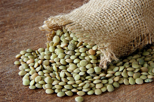 How to choose and store lentils