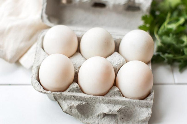 How to choose and store duck eggs