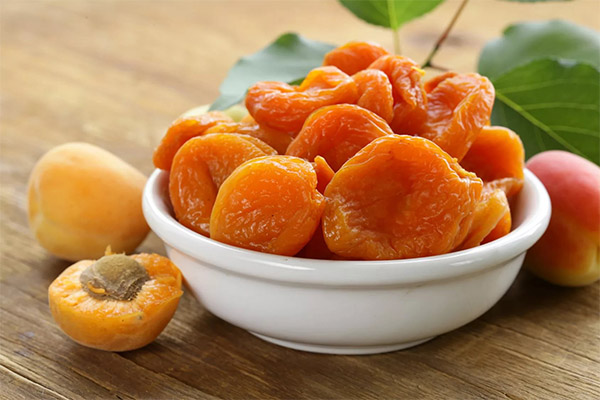 A dried apricot in medicine