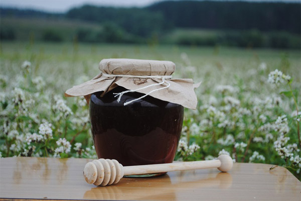 Therapeutic properties of buckwheat honey