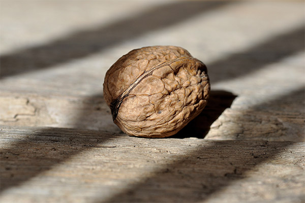 Can we give walnuts to animals?