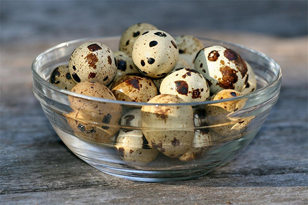 Can we give quail eggs to animals?