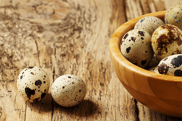 Quail eggs in medicine