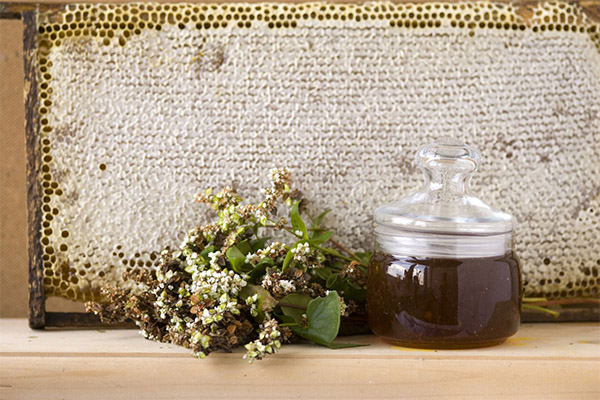 Useful properties of buckwheat honey