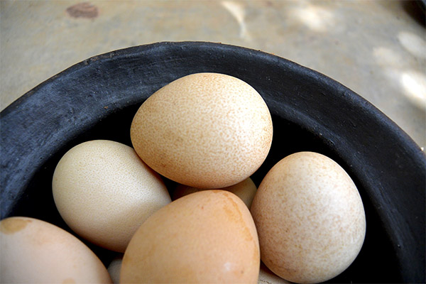 Useful properties of guinea fowl eggs