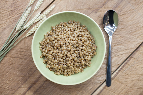 The useful properties of spelt grains for weight loss