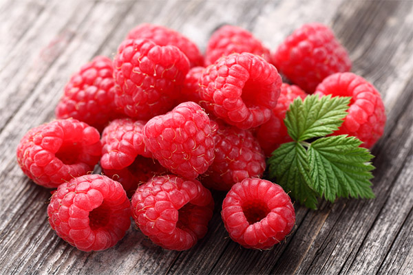 Raspberry Benefits