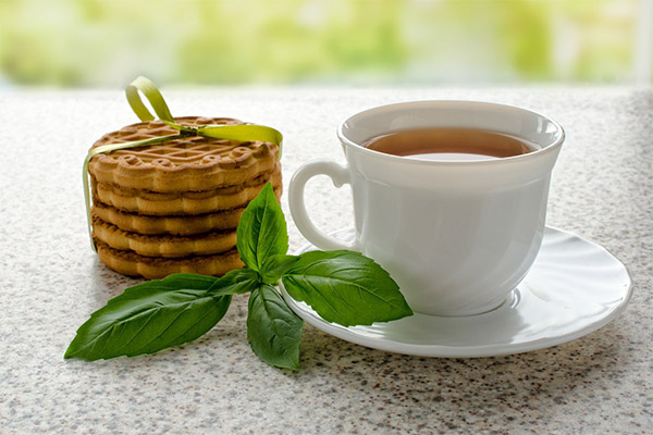 The usefulness of basil tea