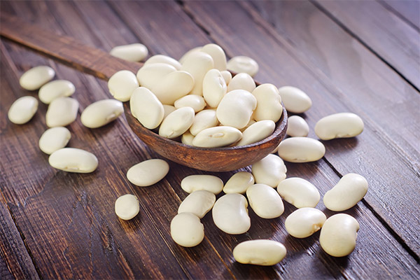 Benefits and harms of white beans
